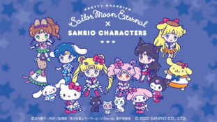 Pink Sailor Moon Laptop Wallpapers - Top Free Pink Sailor Moon Laptop  Backgrounds - WallpaperAccess